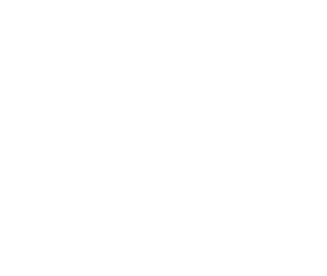 heart-icon